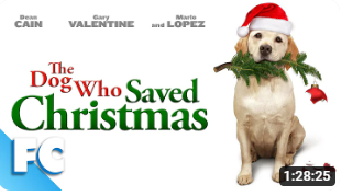 The Dog who saves Christmas